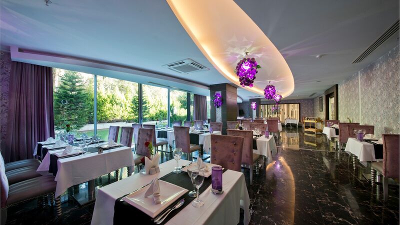 Q Premium Resort