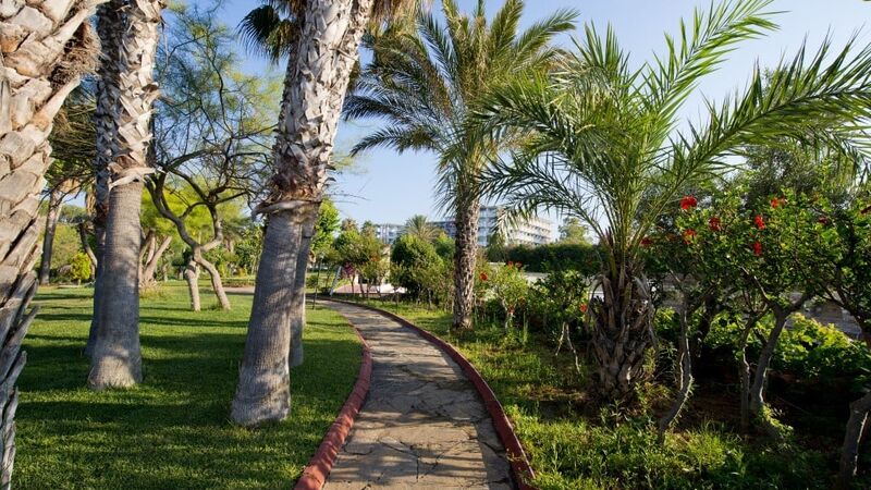 Q Aventura Park