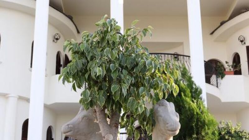 Meryems Hotel