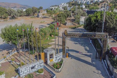 Historical Museum Bodrum Her Şey Dahil Konsept | İstanbul, İzmit, Bursa ve İzmir Hareketli