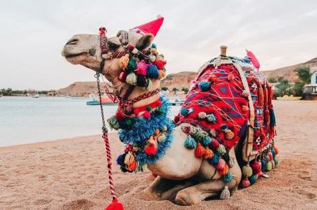 Vizesiz Sharm El Sheikh Turu | 5 Gece Her Şey Dahil Otel Konaklamalı Extra Turlar Dahil ( Başka Ödeme Yok )