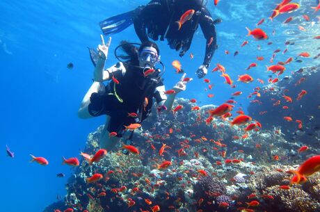 Sharm El Sheikh Turu Ekstra Turlar Dahil 5 Gece Konaklamalı / İstanbul , İzmir ve Antalya Çıkışlı
