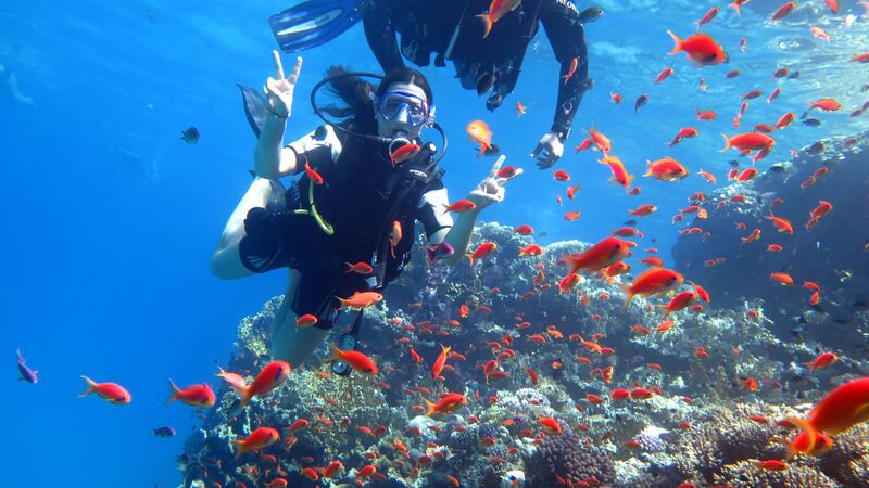 Vizesiz Sharm El Sheikh Turu | 5 Gece Her Şey Dahil Otel Konaklamalı Extra Turlar Dahil ( Başka Ödeme Yok )